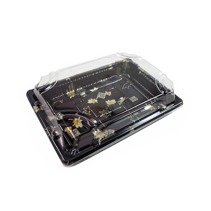 Paibei Disposable Transparent Plastic Food Containers
