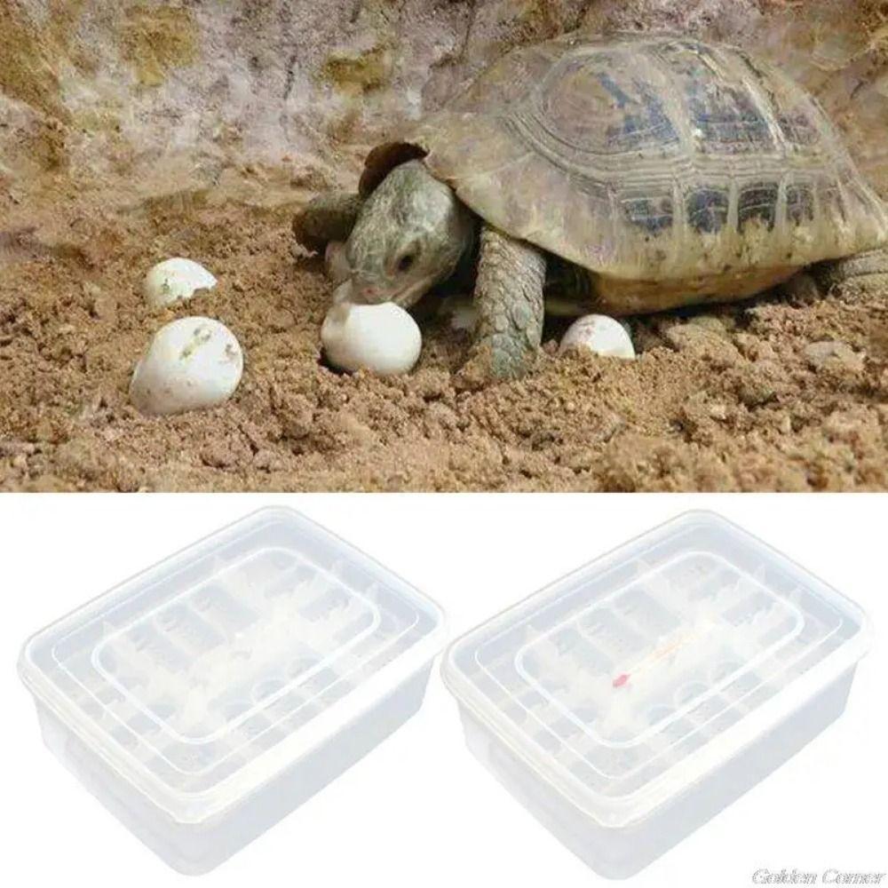 16 Grids Turtles Egg Incubator Tray Transparent Reptile Breeding Hatchery Reptile Hatch Box  Gecko