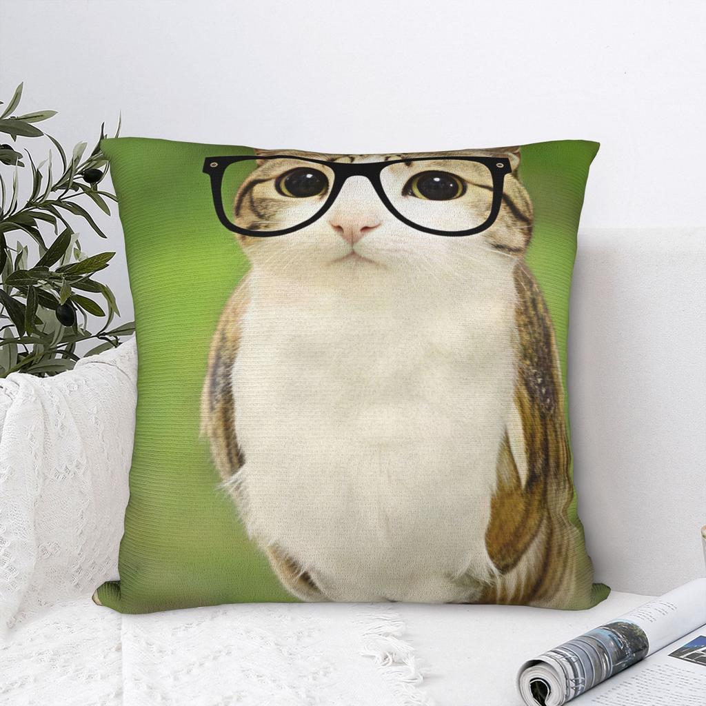 Cat Owl Funny Pillow Cover Cute Funny Pillow Case For Sofa Bedroom Home Decor Print Cushion Cover Gift