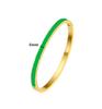 Kvinners 4 mm Gull Emalje Titanstål Armbånd med Spenne