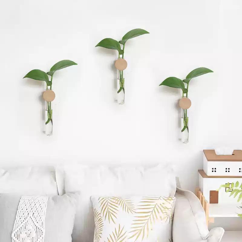 Japanese Wall-Mounted Wood & Glass Hydroponic Plant Holder