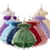 Children's Princess Embroidered Formal Piano & Party Dress