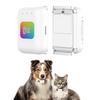 Perros – Collares y correas