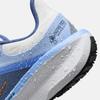 Nike Women's Winflo 11 GORE-TEX Waterproof Running Shoes
