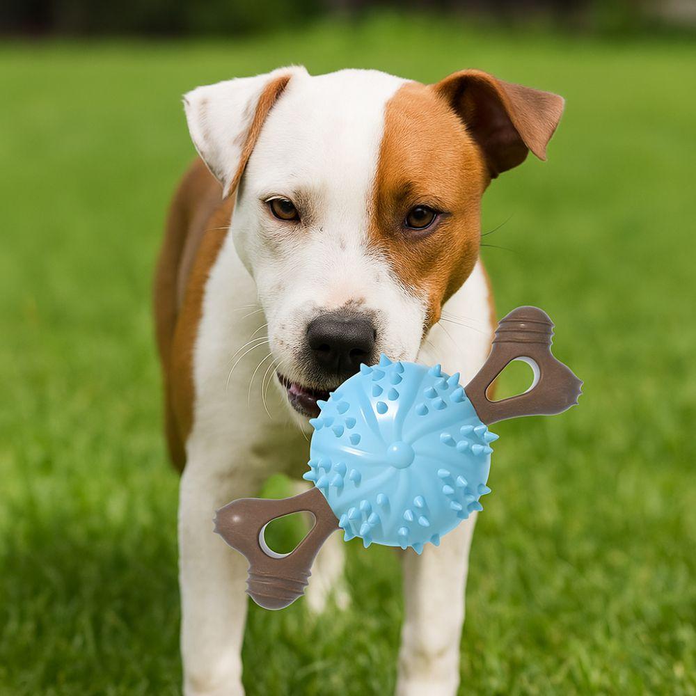 TPR Dog Teething Stick Bite Resistant Dog Toothbrush Toy Gnawing Training Toy  Pet Training