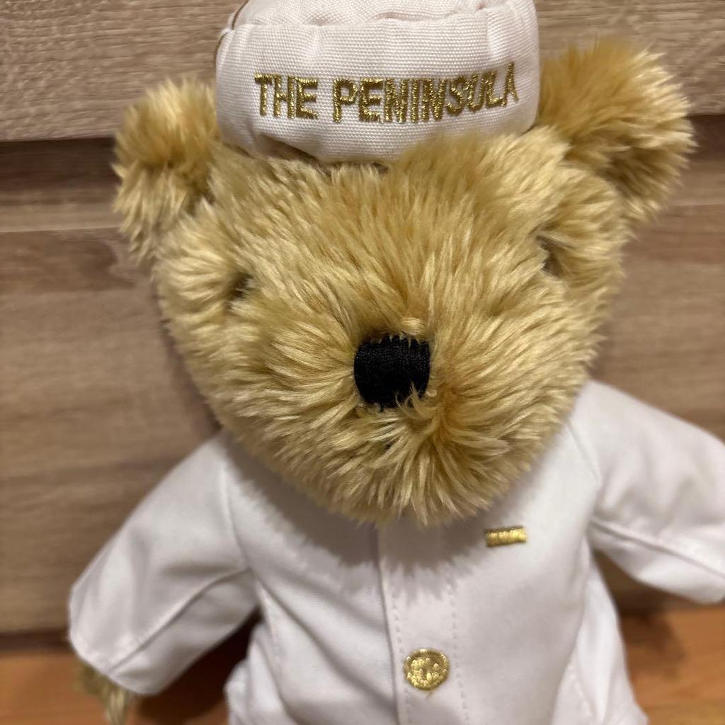 [USED] Peninsula Teddy Bear