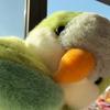 Parrot Hand Puppet Plush Toy Soft Stuffed Bird for Baby Early Education Kindergarten Cute Ventriloquist Doll for Storytelling Interactive Gift for