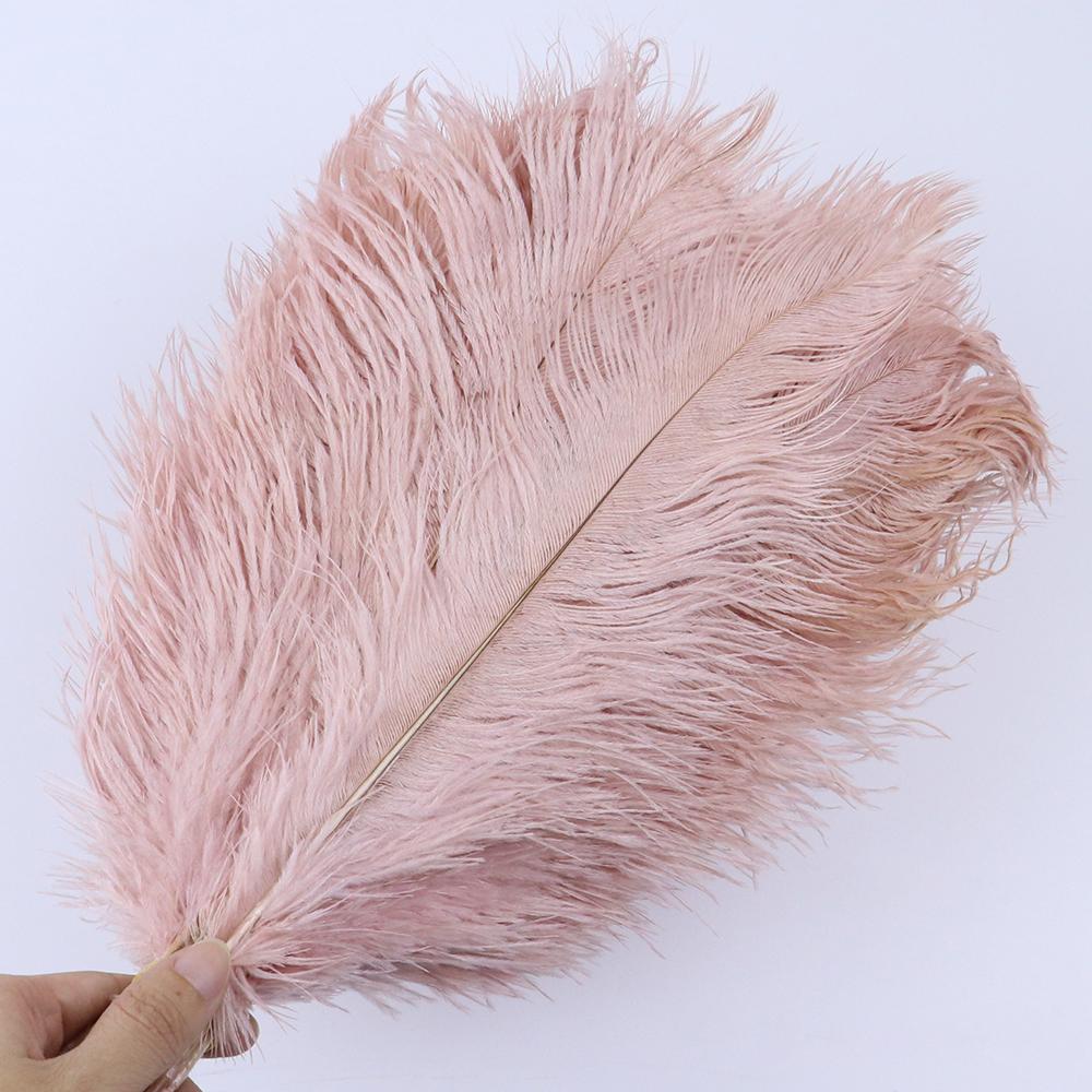 10 Pcs Colorful Ostrich Feather Wedding Table Centerpiece Decoration Plume Real Ostrich Feathers for Carnival Support 15-50 CM