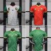 Cameroon Jersey Player Version Home Two Guests African National Team Football