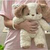 Cute Soft Goodnight Puppy Plush Pillow Doll Sleeping Companion Birthday Gift for Girlfriend