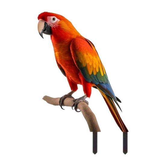 Realistic Parrot Garden Stake 2D Acrylic Colorful Parrot Yard Art