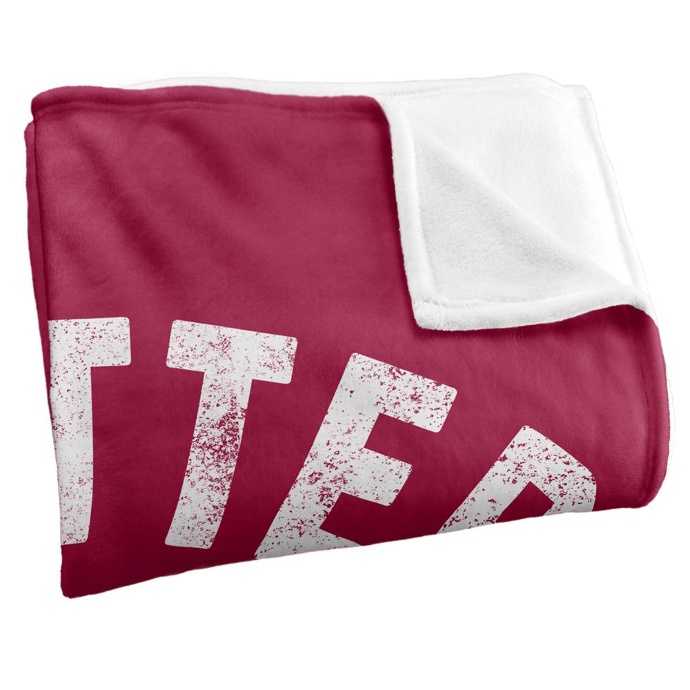 Harry Potter Silky Varsity Supersoft Blanket