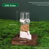 Automatic Bird Water & Food Dispenser for Parrots and Quails