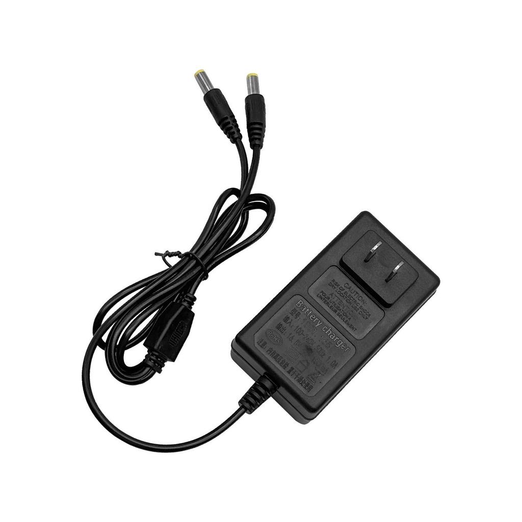 16.8V Dual-Head Charger for Lithium Battery Drills, Model 08170