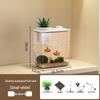 Gorede Desktop Ecological Fish Tank