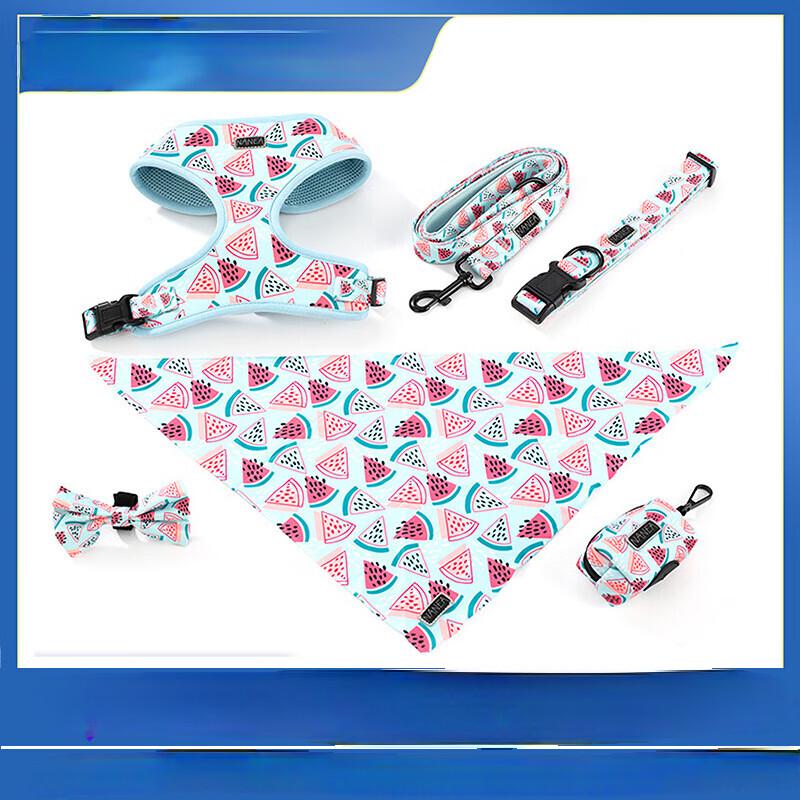 WEZHO Breathable Mesh Vest Pet Harness and Leash Set