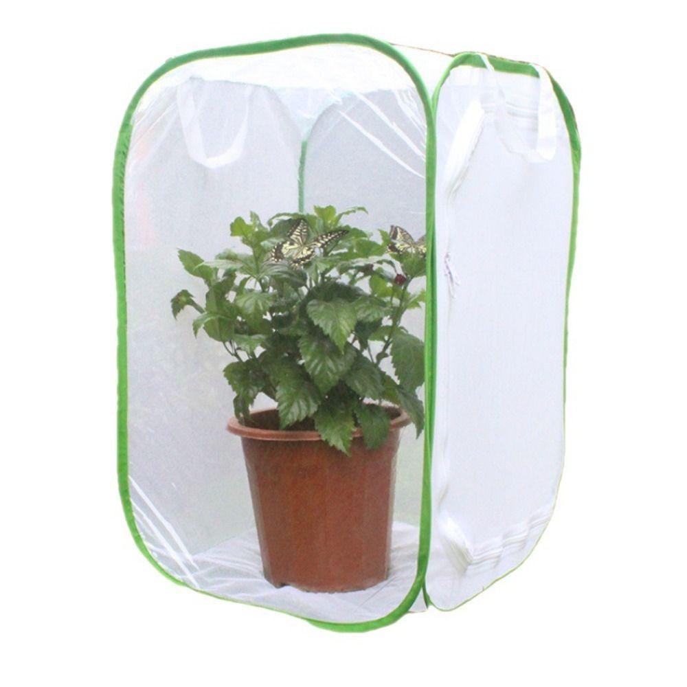Collapsible Insect Cage Outdoor Sunroom Durable Butterfly Habitat
