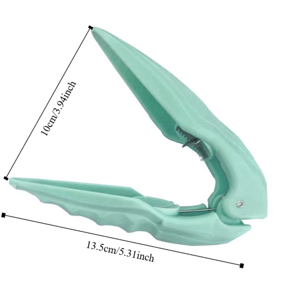 Cross Design Chestnut Cutter Sharp Chestnut Sheller Chestnut Peeling Tool Walnut Opener  Dessert