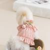 Spring Summer Dog Tulip Pleated Dress Teddy Dress Princess Style Lady Cat Two Feet Pet Dress