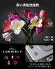 SmallRig Vibe P96 Pro LED Video Light, Portable Camera Light for Photography, Cold Shoe Light, CRI95+, 2500-6500K, 5 Effects, Fill Light Accessory for