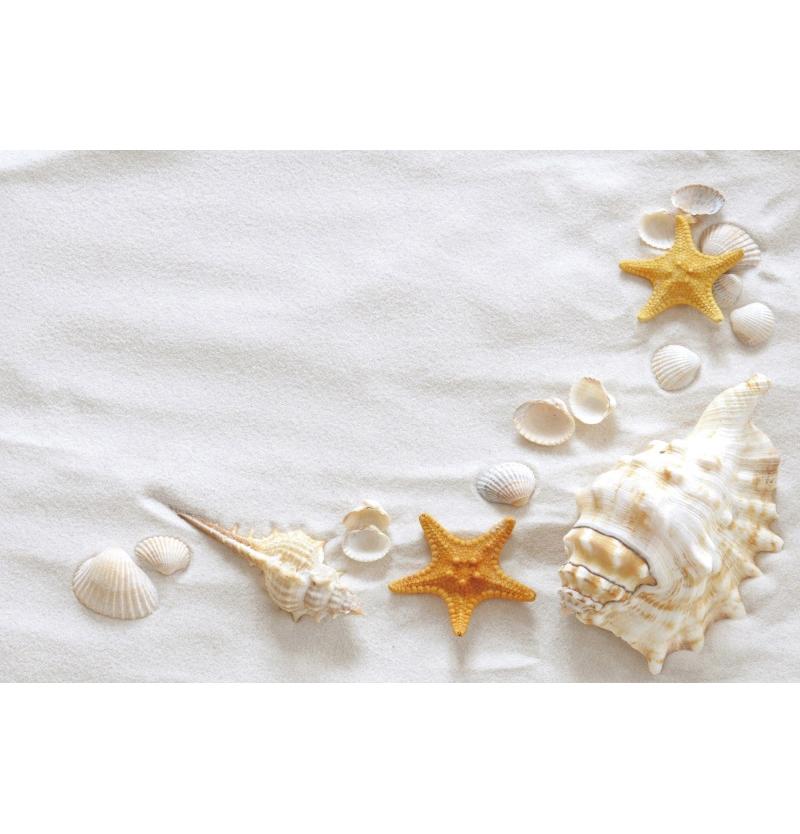 Decorazione Sfondo Spiaggia Tropicale Conchiglia Stella Marina Vacanza Estiva Per Festa in Piscina Sfondi Per Fotografie