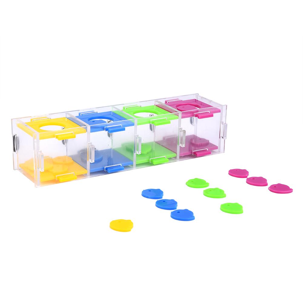 Buntes Papageienspielzeug – Interessante Vögel, Intelligenztraining, interaktives Spielpuzzle