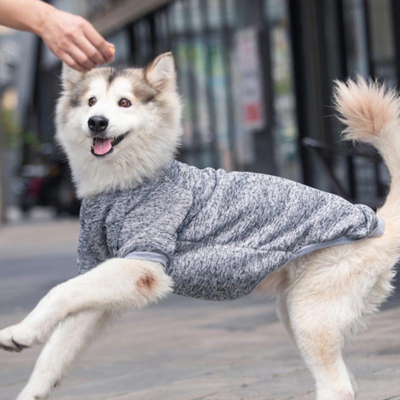 fall dog sweater