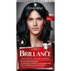 Briance Hair Color 891 Blue Black