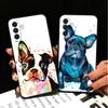 French Bulldog Dog Pug Design Soft Phone Case for Samsung A17 A37 A57 A16 A26 A36 A56 A15 A25 A35 A55 A14 A24 A34 A54 A13 A23 A3