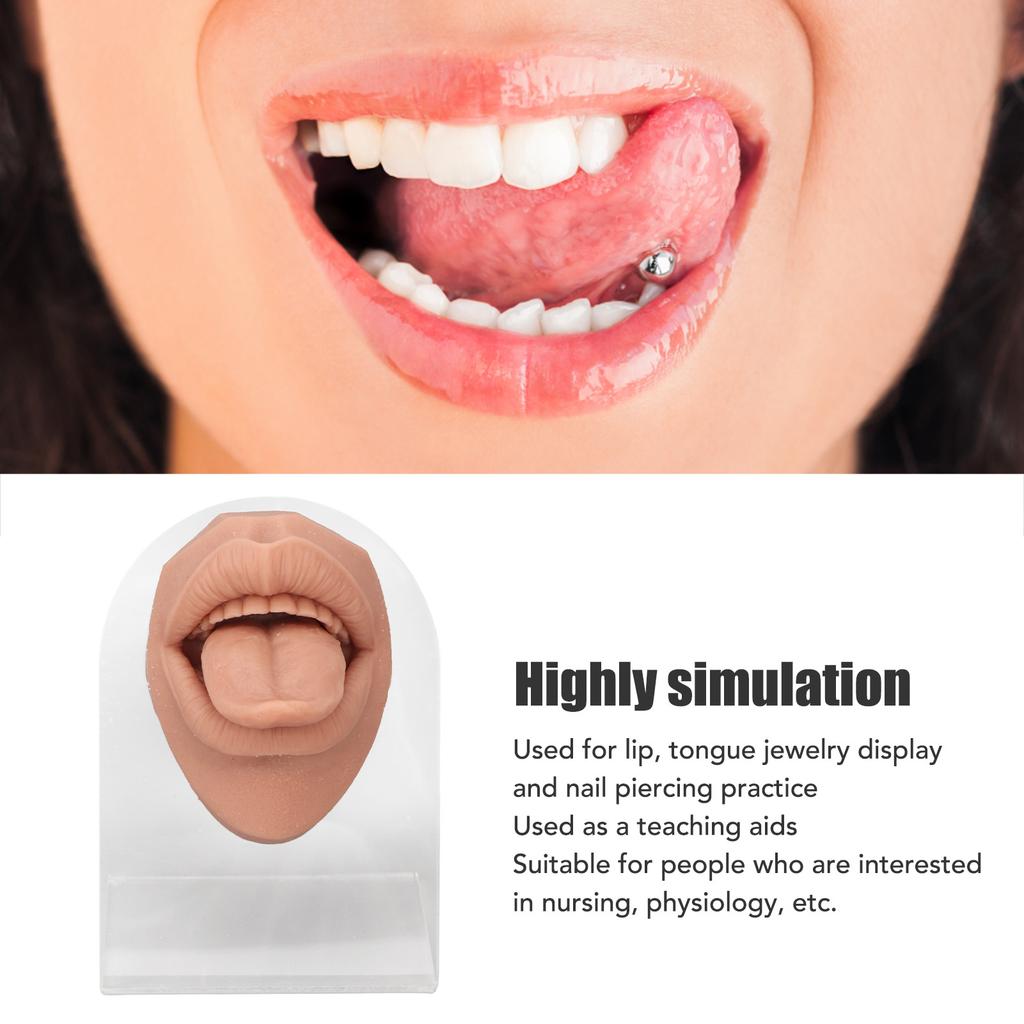 Modelo de lengua humana, silicona suave, soporte acrílico realista, modelo de boca para exhibición de joyería