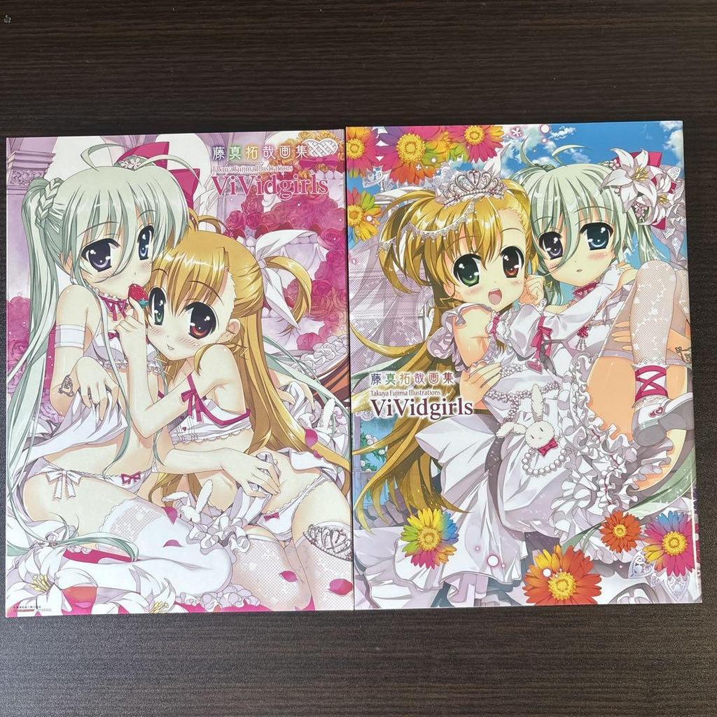 [USED] Comes with a Special Case for This Non-sale Item! Takuya Fujima Art Book ViVidgirls