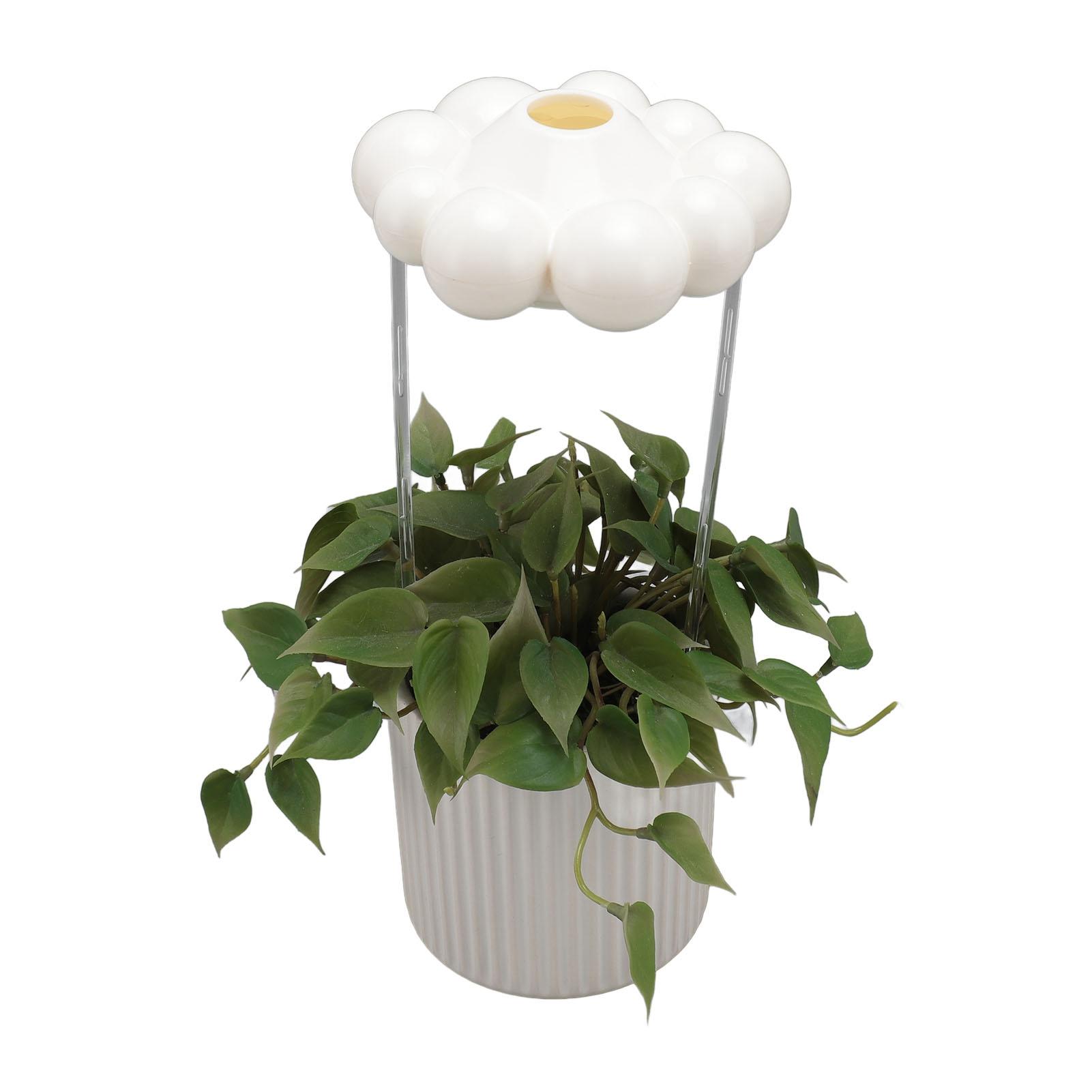 

Полив растений Дождевое облако Пластиковые устройства для полива растений Автоматический полив растений для садовода Любитель растений