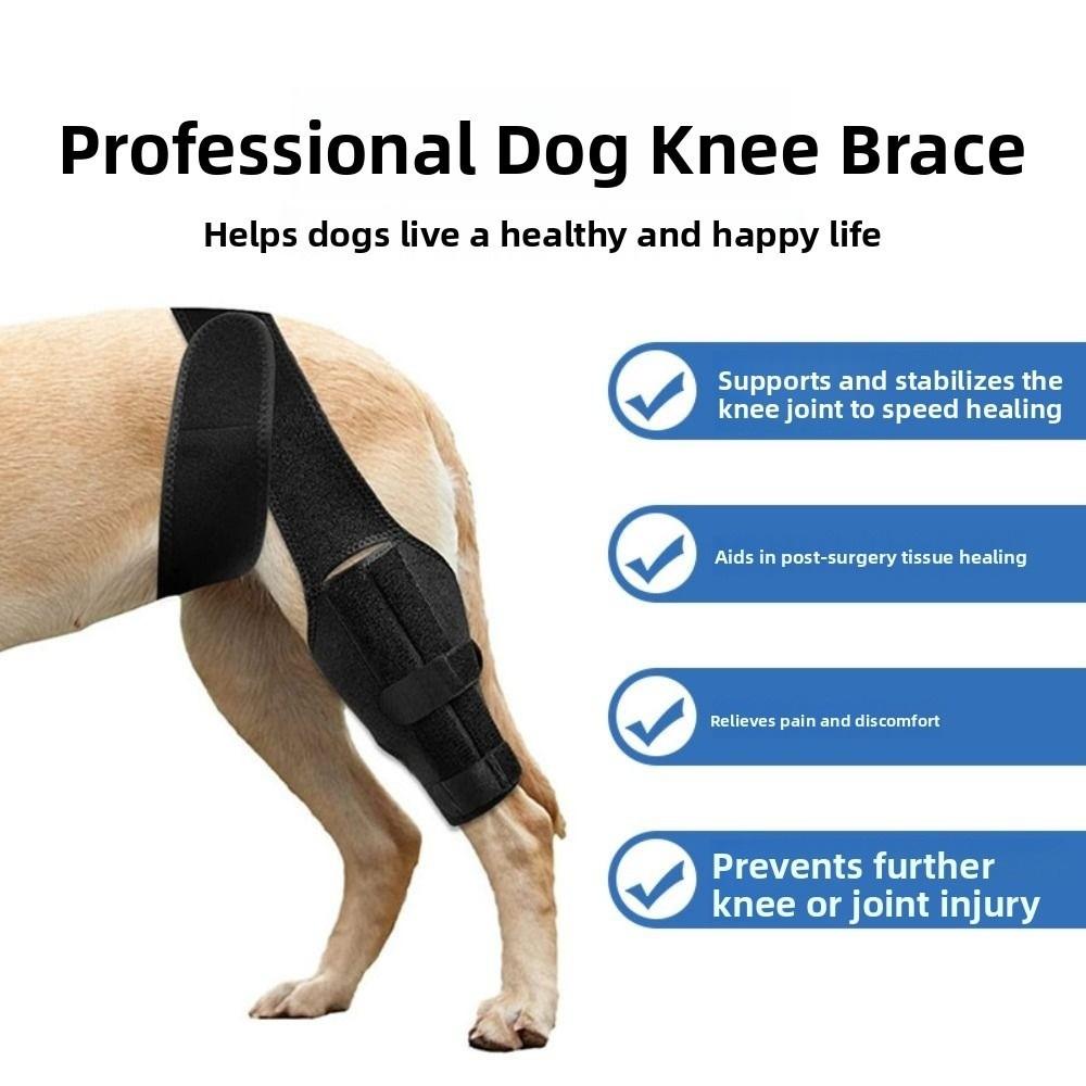Strapazierfähige Beinstützmanschette Verstellbarer Knie-Wundschutz für Hinter- und Vorderbeine