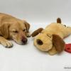 Interactive Heartbeat Puppy Plush Toy for Soothing Companionship