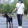 Hand Free Dog Leash for Pet Walking Running Jogging Adjustable Dog leash Waist Belt Chest Strap Traction Rope Dog Accessories