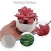 T02C!Mini Succulents Artificial Succulents Plants Artificial Mini Geometric Plants In Pot,Set Of 4 Decorative