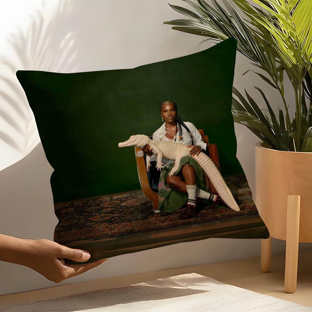 

Hot DdoechiiES Album Pillow Case Home Living Room Decoration Linen Pillow Cases Cushion Cover 30X30cm
