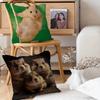 Cute Hamster Pillow Case Removable Washable Cushion Cover – All-Season Soft Linen