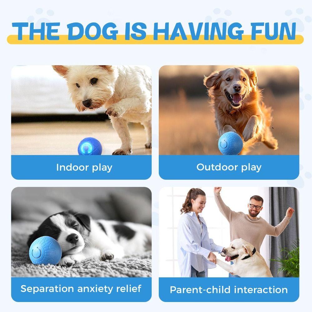 LED Cat Interactive Toy Ball Automatic Rolling Ball Toys  for Cats & Small Dogs