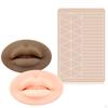 Eyebrow Practice Supplies Lip Permanent Sheet for Beautician Beginner