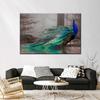 Elegant Blue Peacock Wall Pictures Wall Decor Beautiful Peacock Animal Posters and Prints for Living Room Wall Decor No Frame
