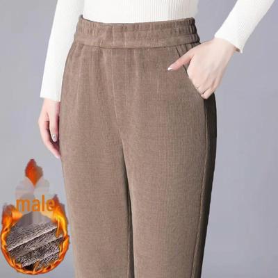 Piele de miel, catifea, catifea, ocazional, toamnă/iarnă, groși, calduri, largi, pantaloni harem pentru femei