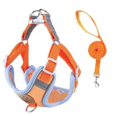 Dog Cat Night Light Reflective Safe Harness + Leash Set, Orange