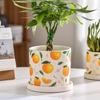Creative Cartoon Fruit Ceramic Flower Pot Plant Flower Pot with Tray Cylindrical Countertop Flower Pot Living Room Garden Decor