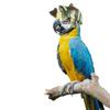 1PC Pet Supplies Funny  Chicken Helmet Hen Hard Hat Bird Hat