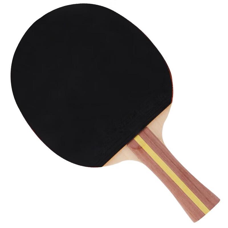 DHS 2-Star 7-Ply Wood Table Tennis Racket Set