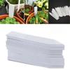 100Pcs Plastic Material Plant Tags 5*1cm Size Reusable Plant Markers DIY Tool Waterproof Seedling Tray Mark Plant Accessories