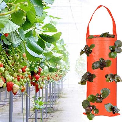 Hanging Strawberry Grow Bag Upside Down Strawberry Planter Reusable Breathable Plant Grow Bag with 4 6 8 10 Planting Holes for Vegetables And