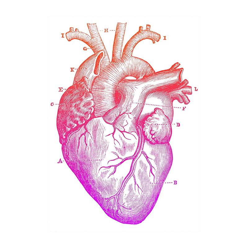 Ανθρώπινη Ανατομία Τέχνη Καμβάς Ζωγραφική Εκτυπώσεις Όργανο Σκελετός Vintage Αφίσα Εκπαίδευση Εικόνα Για Δωμάτιο Σπίτι Κλινική Ιατρική Διακόσμηση Τοίχου