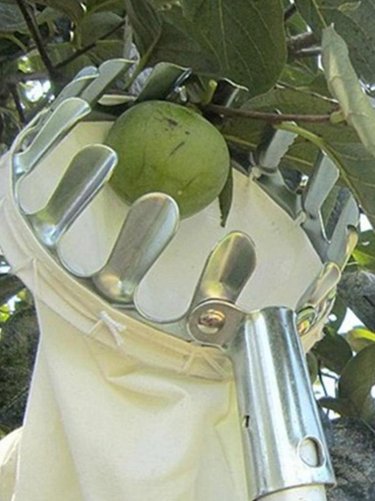 Fruit Picker Head Metal Deep Basket Without Pole Fruit Collector Harvest Picking Apple Citrus Pear Farm Garden Catcher Device